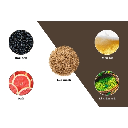 Dầu gội phục hồi tóc Buricl Silky Volume Hair Shampoo 300ml